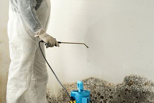 mold removal Winnipeg